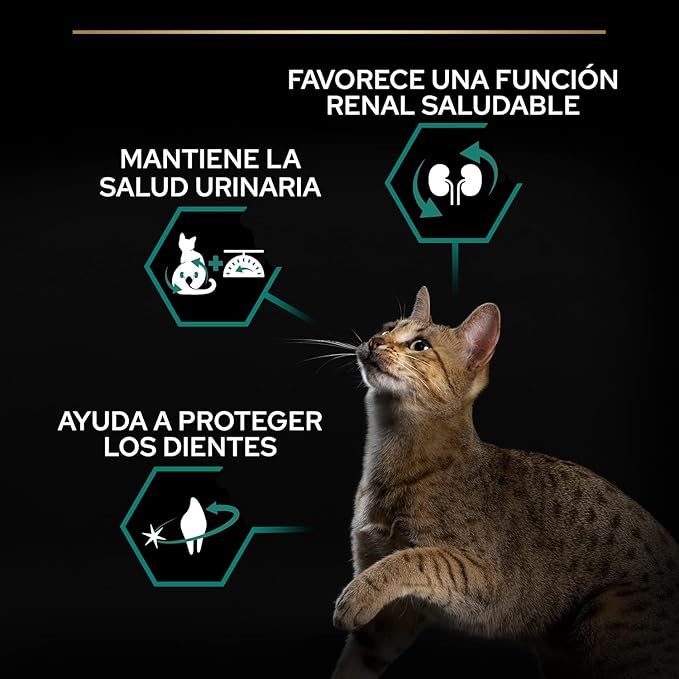 Pro Plan Sterilized Cat Food with Salmon for Neutered Cats, 10 kg