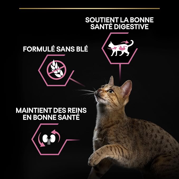 Pro Plan Delicate Lamb Dry Cat Food, 10 kg