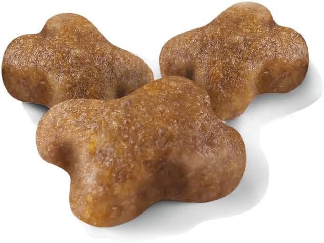 Royal Canin Kitten Food, 10 kg